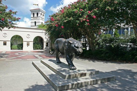 Mike the Tiger Habitat